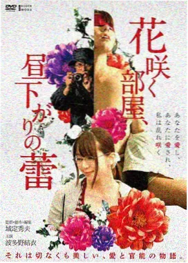 第16至30集分集速览封面